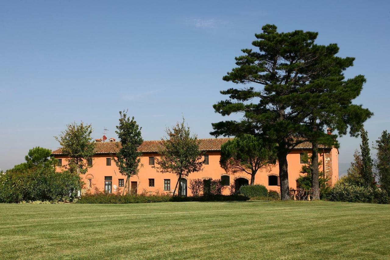 La Magnifica B&B Fauglia Exterior photo