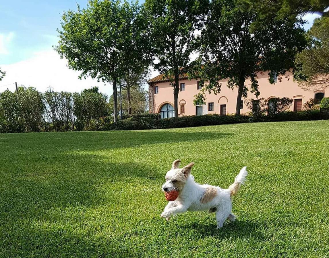 La Magnifica B&B Fauglia Exterior photo